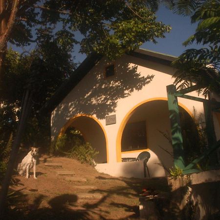 Lime Tree Farm, Blue Mountains Villa Mavis Bank Екстериор снимка