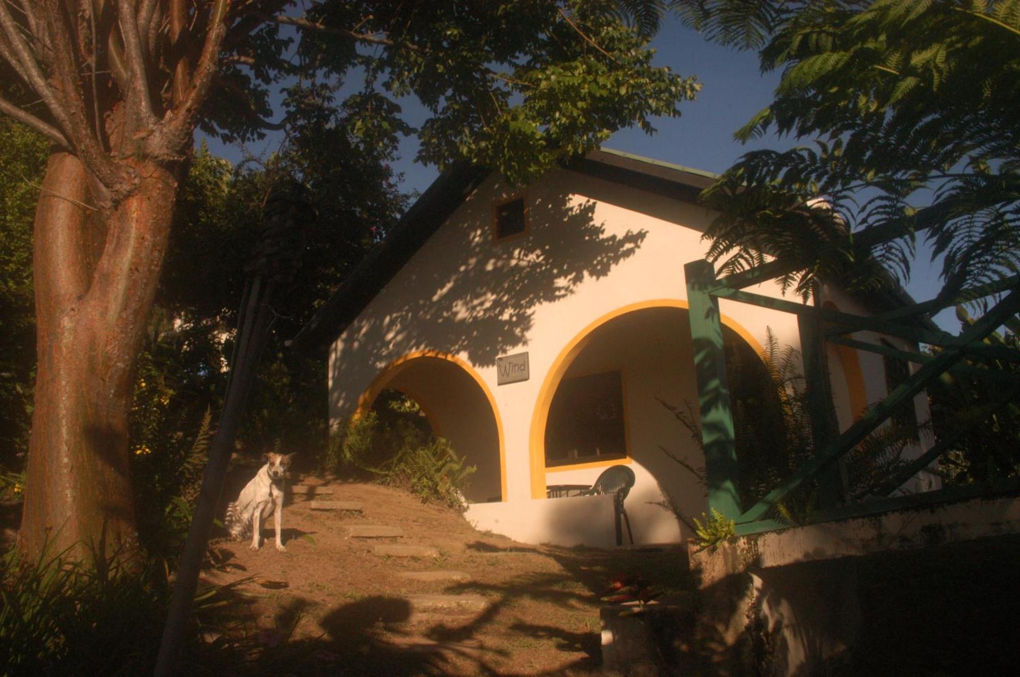 Lime Tree Farm, Blue Mountains Villa Mavis Bank Екстериор снимка