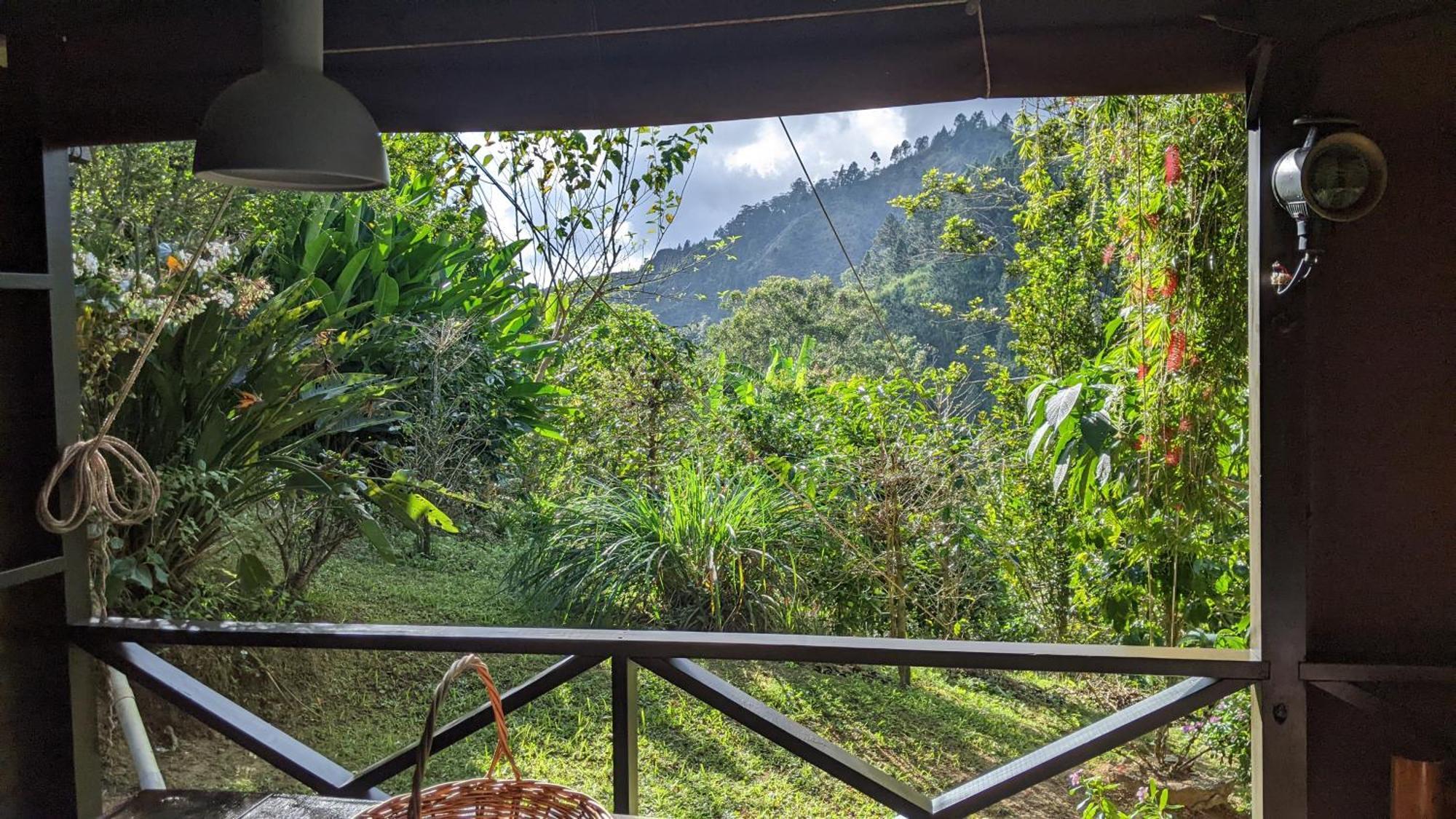 Lime Tree Farm, Blue Mountains Villa Mavis Bank Екстериор снимка