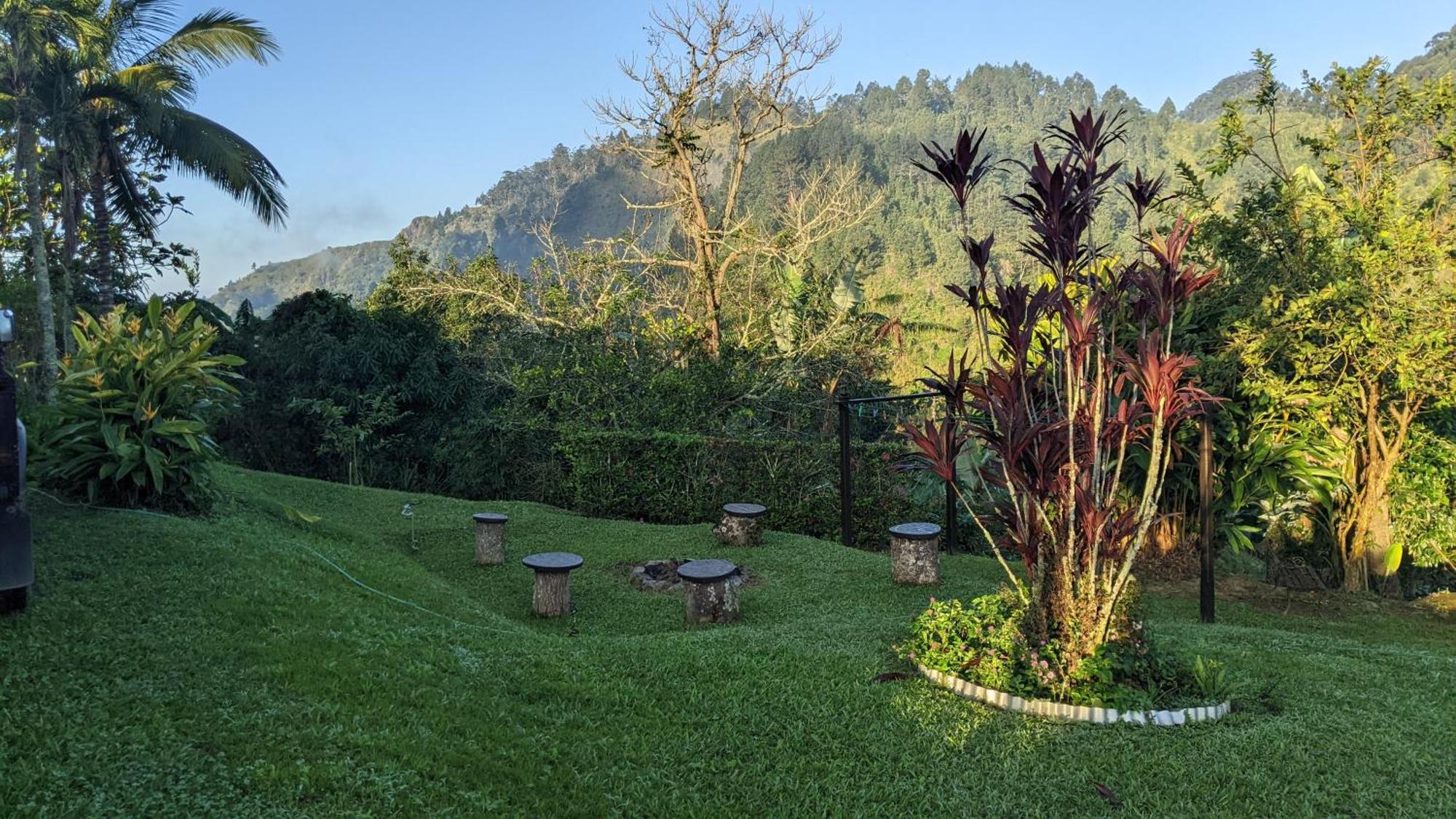 Lime Tree Farm, Blue Mountains Villa Mavis Bank Екстериор снимка