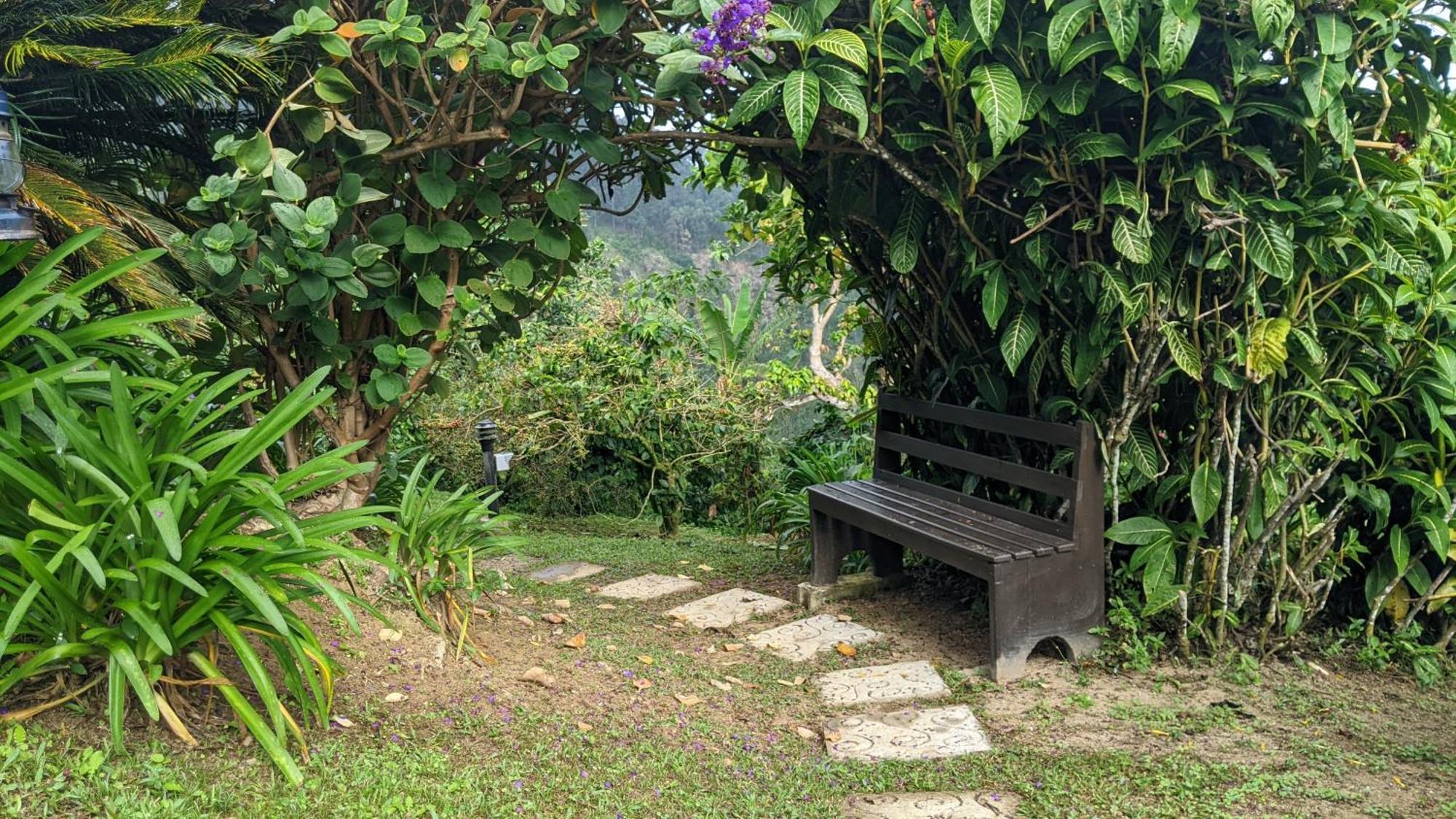 Lime Tree Farm, Blue Mountains Villa Mavis Bank Екстериор снимка